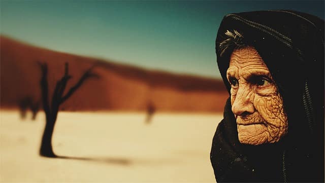 قصص عن بر الوالدين