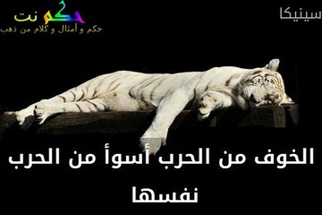 كلام في الصميم