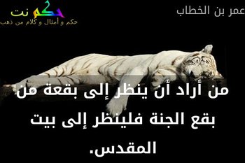 من أراد أن ينظر إلى بقعة من بقع الجنة فلينظر إلى بيت المقدس.-عمر بن الخطاب