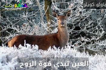 العين تبدي قوة الروح -باولو كويلو