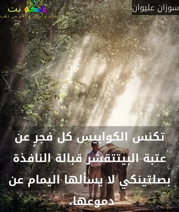 تكنس الكوابيس كل فجرٍ عن عتبة البيتتقشر قبالة النافذة بصلتينكي لا يسألها اليمام عن دموعها. -سوزان عليوان