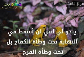 يبدو لي انني لن أسقط في النهاية تحت وطأة الكفاح بل تحت وطأة الفرح -فرانز كافكا