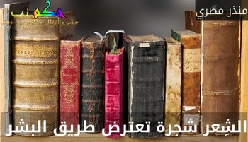 الشِعر شجرة تعترض طريق البشر -منذر مصري