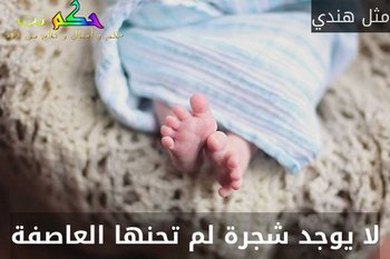 لا يوجد شجرة لم تحنها العاصفة-مثل هندي