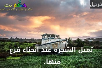 تميل الشجرة عند انحناء فرع منها. -فرجيل