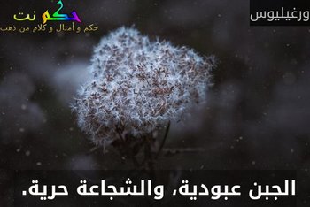 الجبن عبودية، والشجاعة حرية. -ورغيليوس