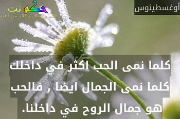 كلما نمى الحب اكثر في داخلك كلما نمى الجمال ايضا , فالحب هو جمال الروح في داخلنا. -أوغسطينوس