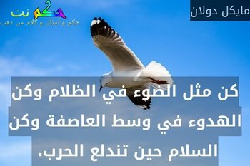 كن مثل الضوء في الظلام وكن الهدوء في وسط العاصفة وكن السلام حين تندلع الحرب. -مايكل دولان