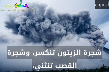 شجرة الزيتون تنكسر، وشجرة القصب تنثني.-أيسوب